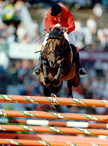 Libero H - Winner of 1994 World Cup Show Jumping Final                                              
